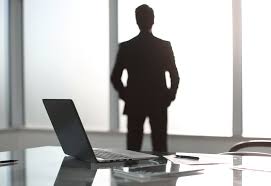 Professional Asset Manager